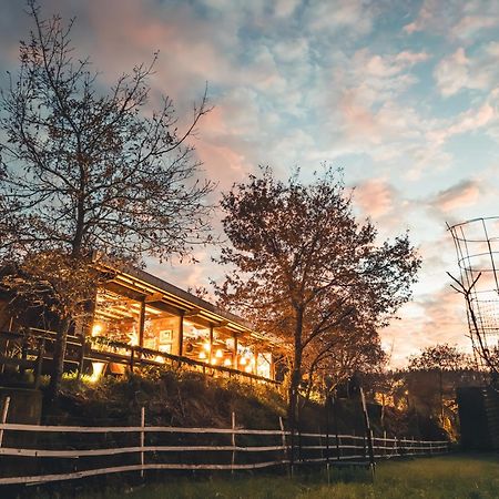 Vale Da Silva Villas - Homes Albergaria-a-Velha Kültér fotó
