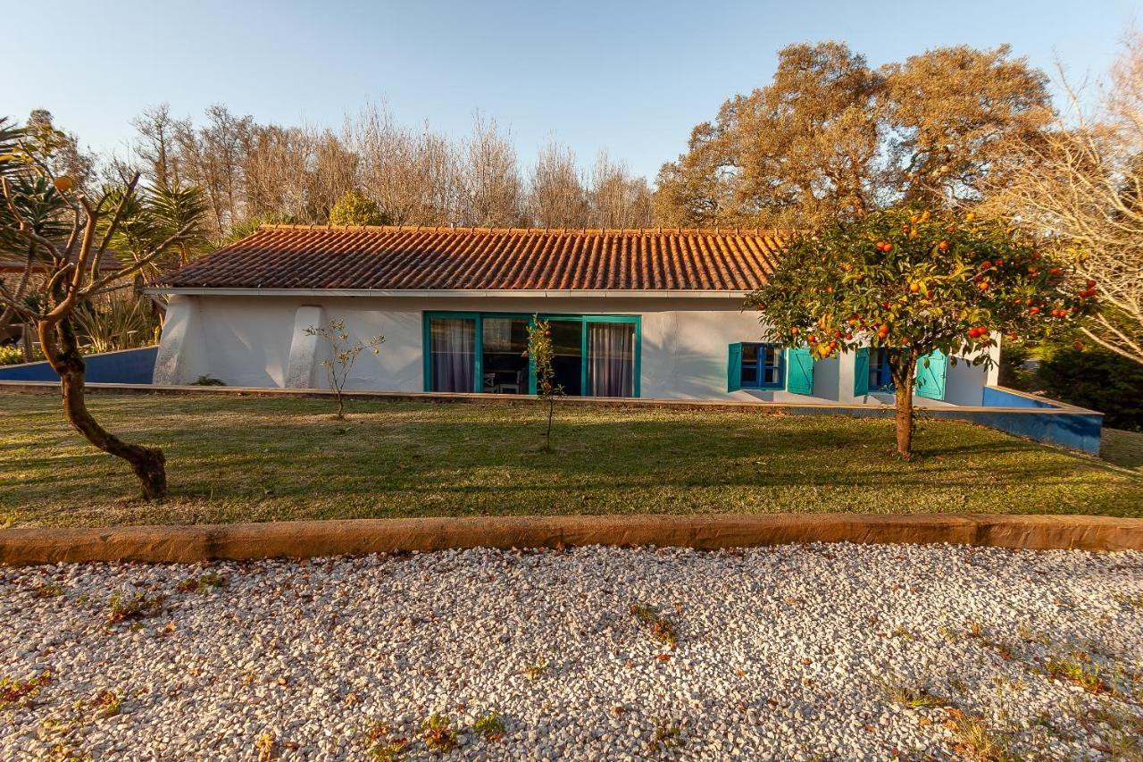 Vale Da Silva Villas - Homes Albergaria-a-Velha Kültér fotó