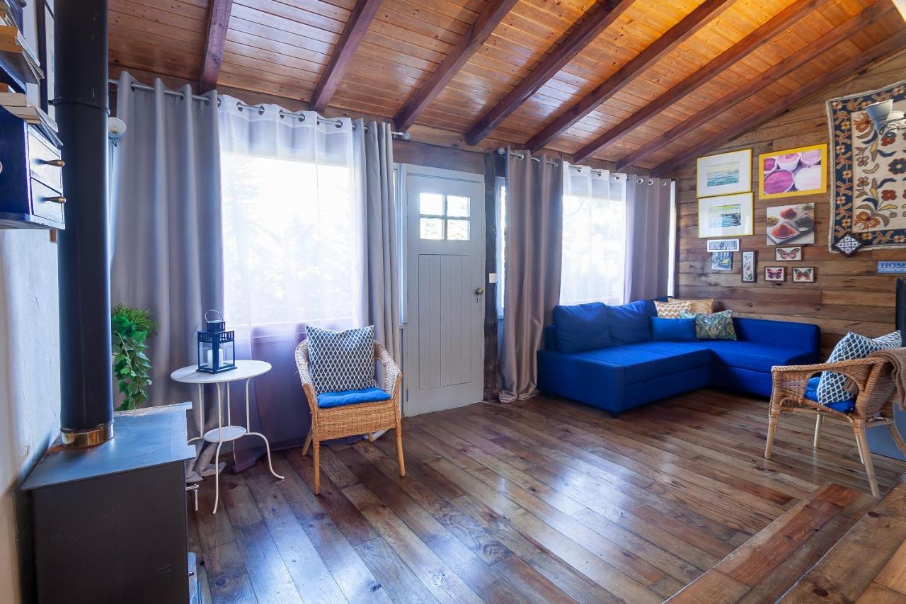 Vale Da Silva Villas - Homes Albergaria-a-Velha Kültér fotó