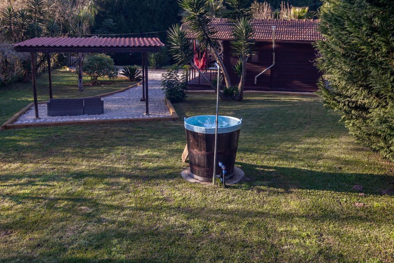 Vale Da Silva Villas - Homes Albergaria-a-Velha Kültér fotó
