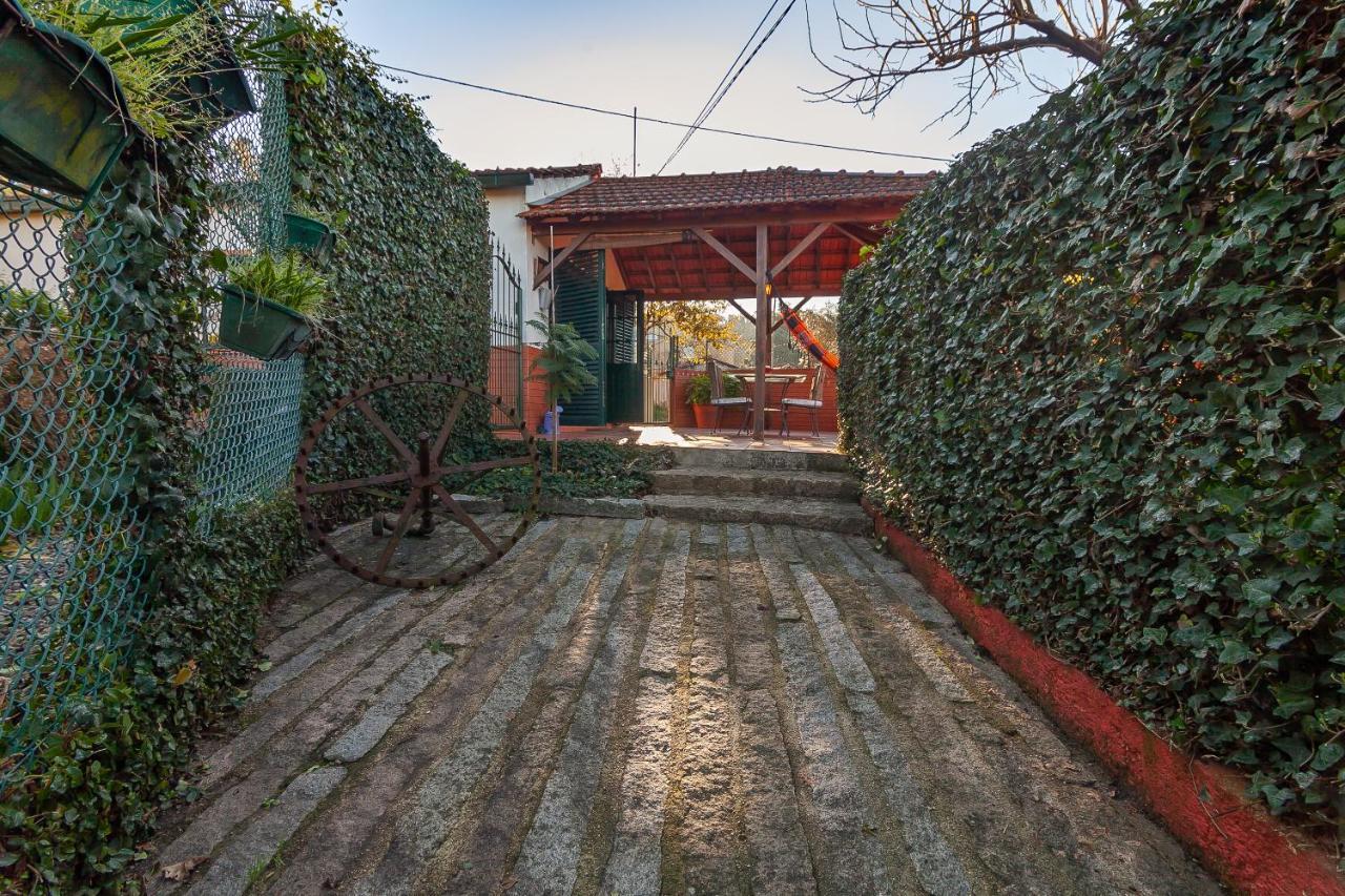 Vale Da Silva Villas - Homes Albergaria-a-Velha Kültér fotó